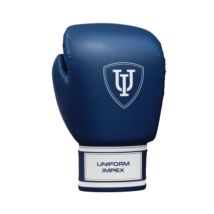 Pro Blue Boxing Gloves – Uniform Impex Edition